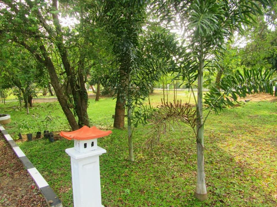 Hotel Tree Garden Wilpaththu Nochchiyagma Anuradhapura Nochchiyagama Kültér fotó