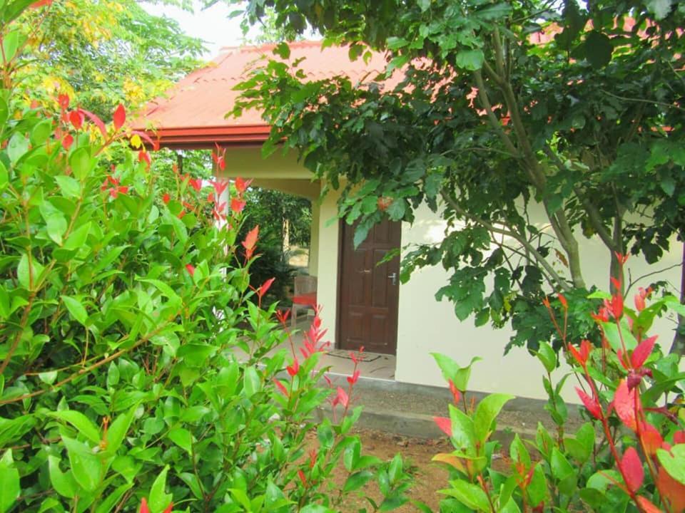 Hotel Tree Garden Wilpaththu Nochchiyagma Anuradhapura Nochchiyagama Kültér fotó