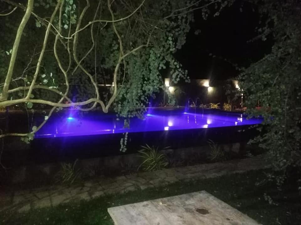Hotel Tree Garden Wilpaththu Nochchiyagma Anuradhapura Nochchiyagama Kültér fotó