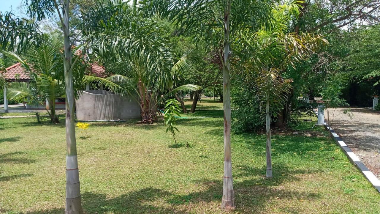 Hotel Tree Garden Wilpaththu Nochchiyagma Anuradhapura Nochchiyagama Kültér fotó