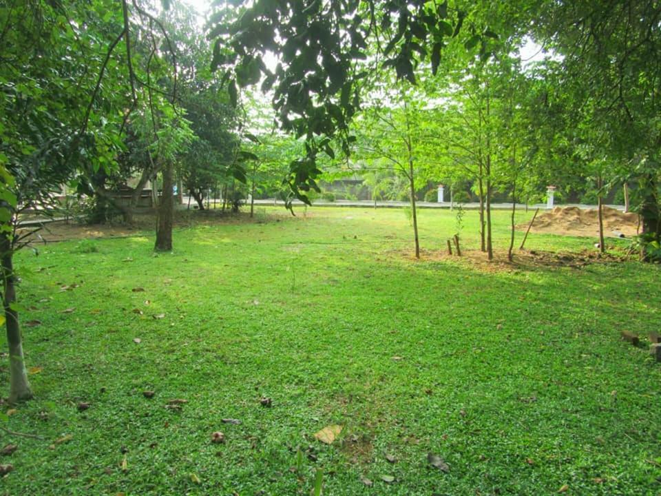 Hotel Tree Garden Wilpaththu Nochchiyagma Anuradhapura Nochchiyagama Kültér fotó