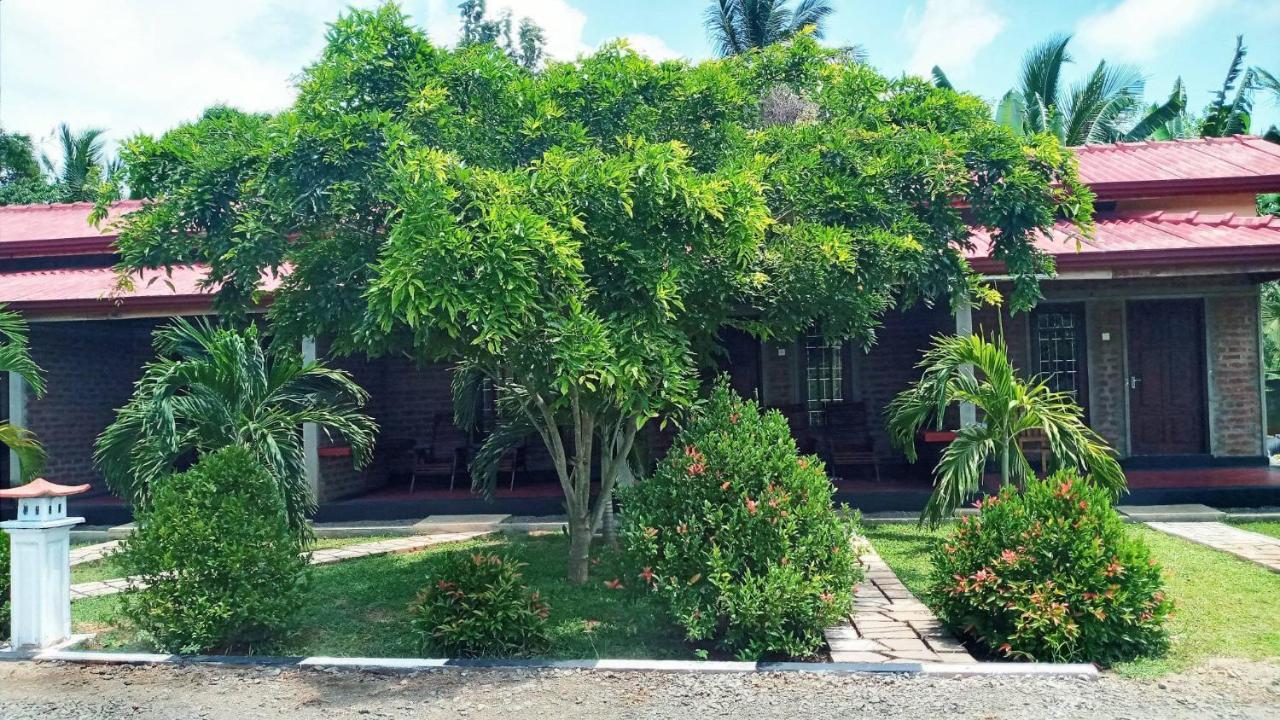 Hotel Tree Garden Wilpaththu Nochchiyagma Anuradhapura Nochchiyagama Kültér fotó