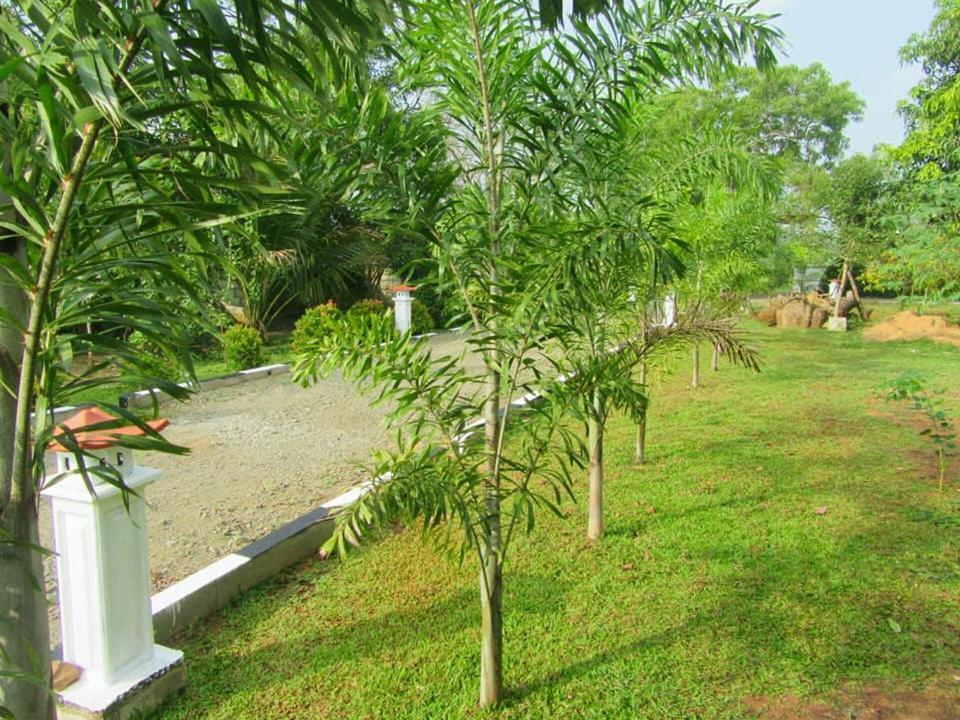 Hotel Tree Garden Wilpaththu Nochchiyagma Anuradhapura Nochchiyagama Kültér fotó