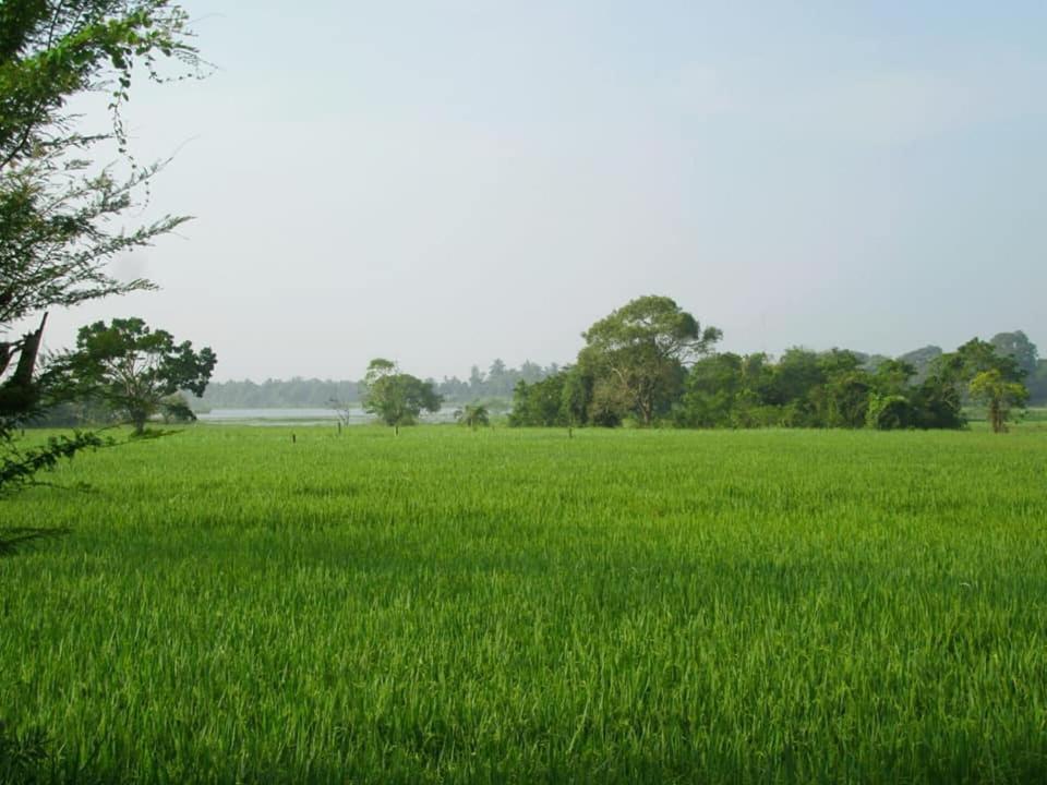 Hotel Tree Garden Wilpaththu Nochchiyagma Anuradhapura Nochchiyagama Kültér fotó