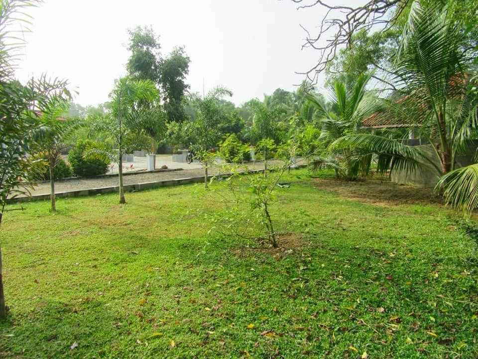 Hotel Tree Garden Wilpaththu Nochchiyagma Anuradhapura Nochchiyagama Kültér fotó