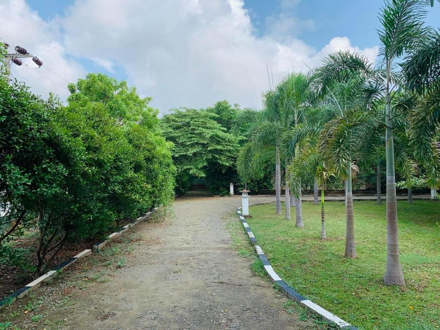 Hotel Tree Garden Wilpaththu Nochchiyagma Anuradhapura Nochchiyagama Kültér fotó