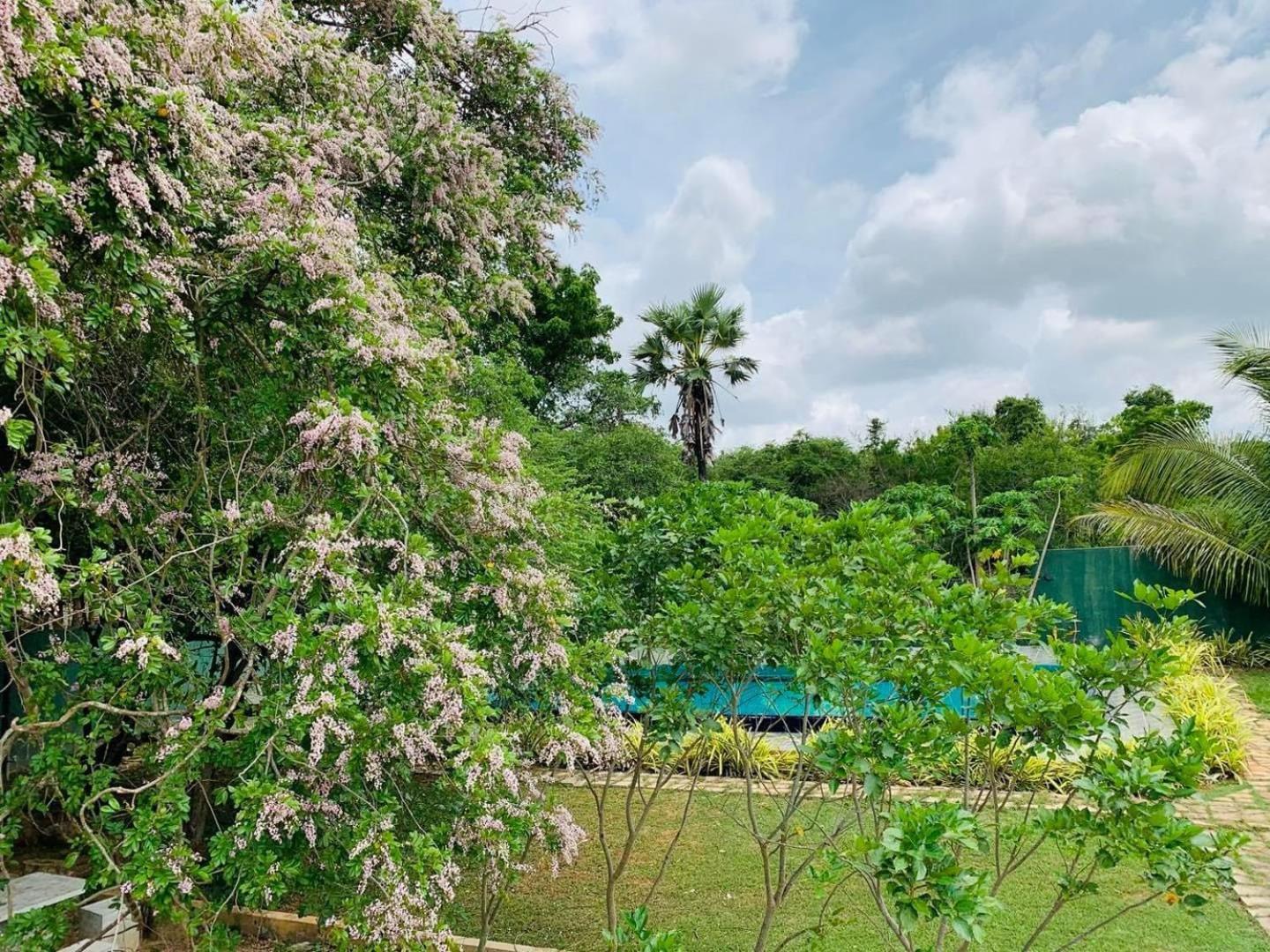 Hotel Tree Garden Wilpaththu Nochchiyagma Anuradhapura Nochchiyagama Kültér fotó
