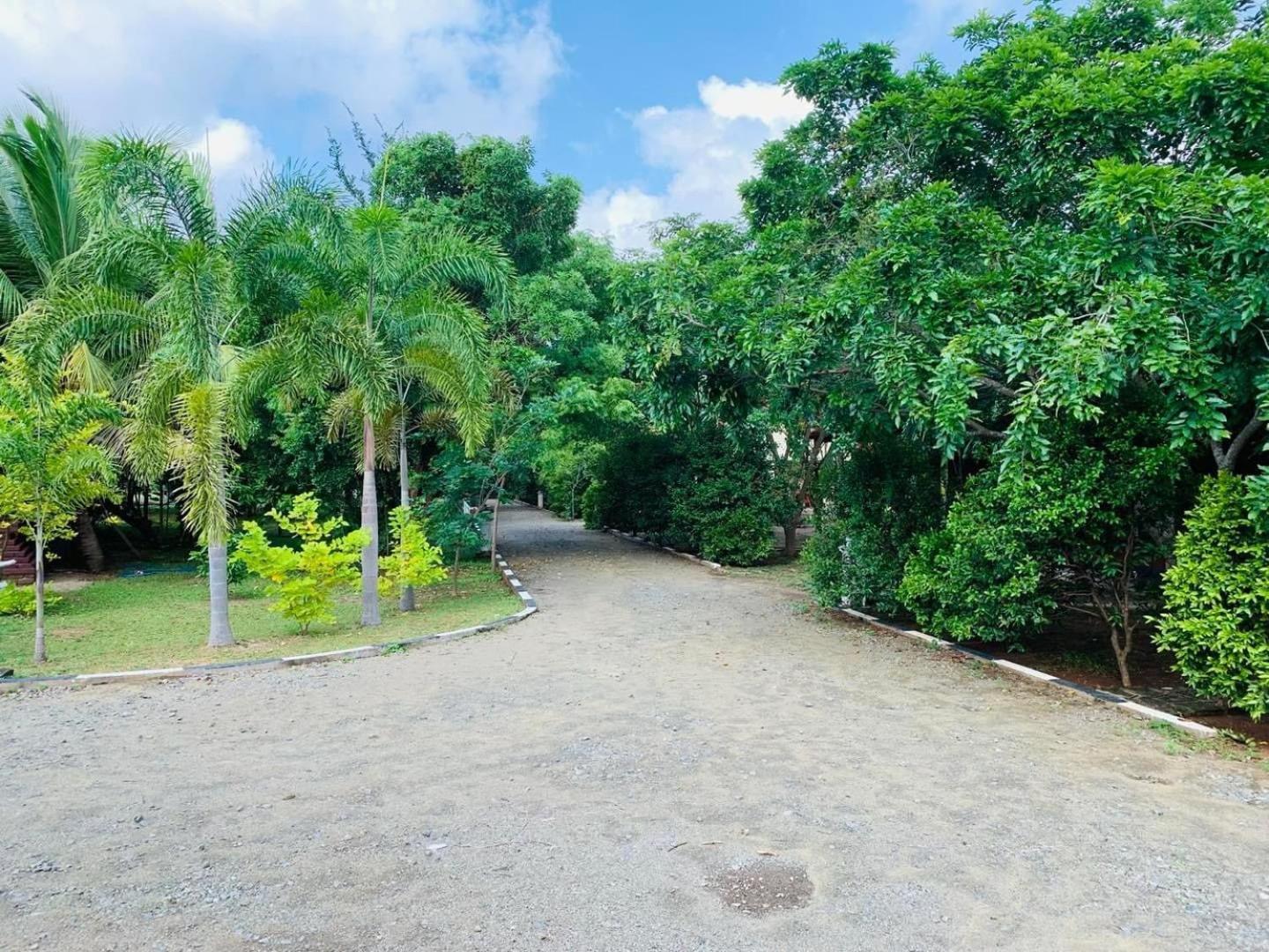 Hotel Tree Garden Wilpaththu Nochchiyagma Anuradhapura Nochchiyagama Kültér fotó