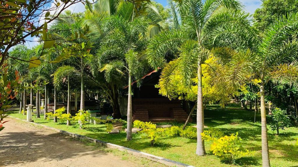 Hotel Tree Garden Wilpaththu Nochchiyagma Anuradhapura Nochchiyagama Kültér fotó