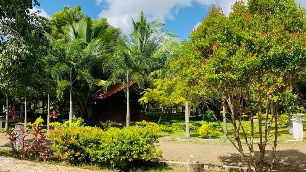 Hotel Tree Garden Wilpaththu Nochchiyagma Anuradhapura Nochchiyagama Kültér fotó